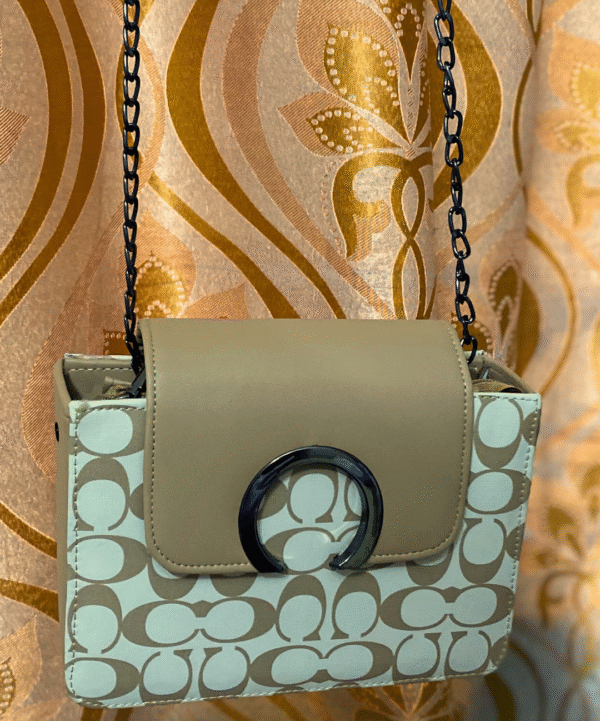 Bagybars Coach-Inspired Signature Crossbody